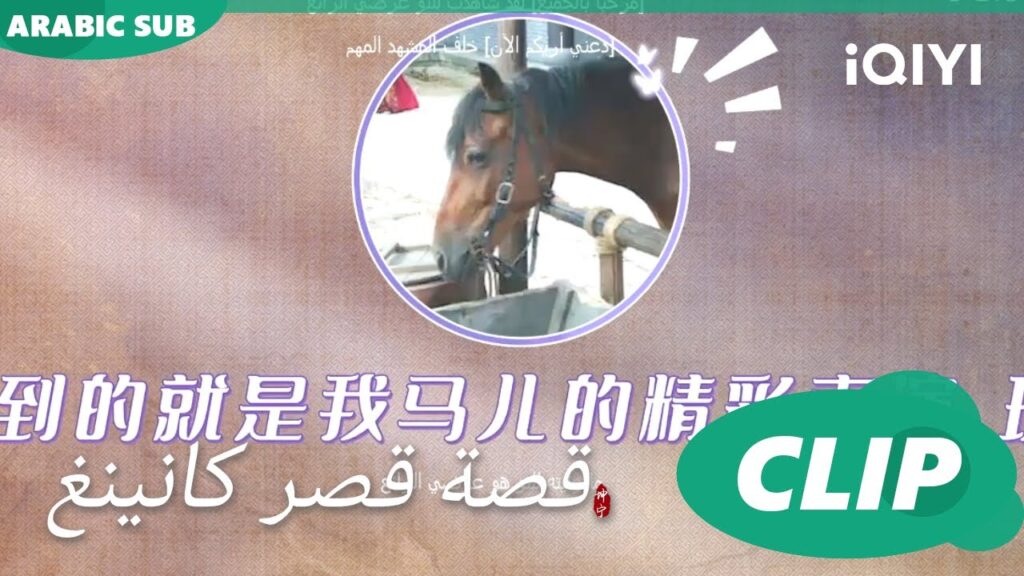 جايزة للحصان الممثل | قصة قصر كانينغ | iQIYI Arabic | Story of Kunning Palace جايزة للحصان الممثل | قصة قصر كانينغ | iQIYI Arabic | Story of Kunning Palace