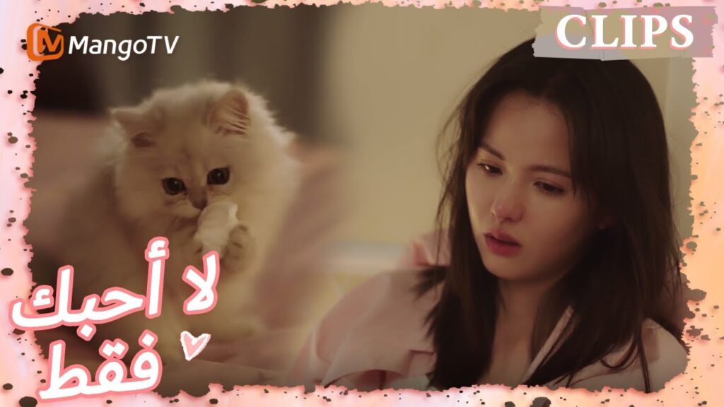 الفتاة تفقد الحب وتذرف الدموع وحدها | I May Love You | MangoTV Arabic