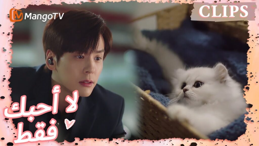 حصل تانغ يو على قطة صغيرة عن طريق الخطأ | I May Love You | MangoTV Arabic