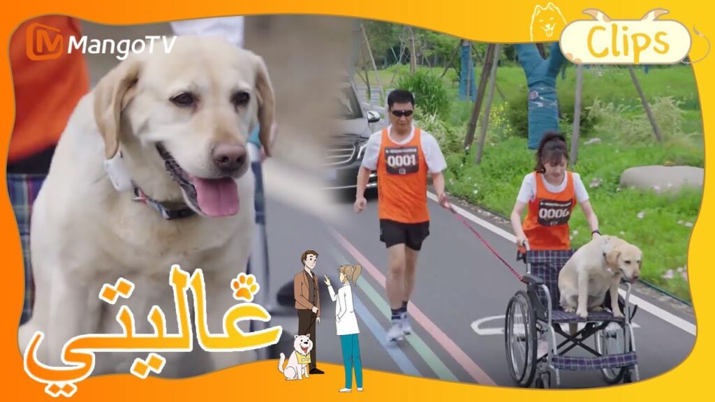 شارك جميع أعضاء مستشفى تيانلين في المسابقة | My Precious | MangoTV Arabic