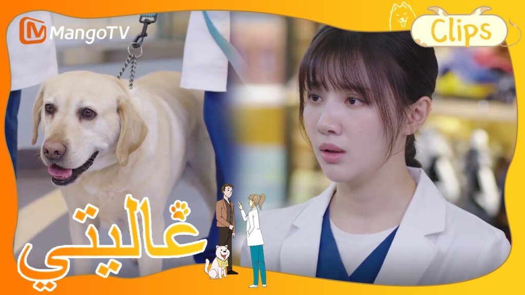 الكلب المرشد "البطل" يعاني من مرض خطير | My Precious | MangoTV Arabic