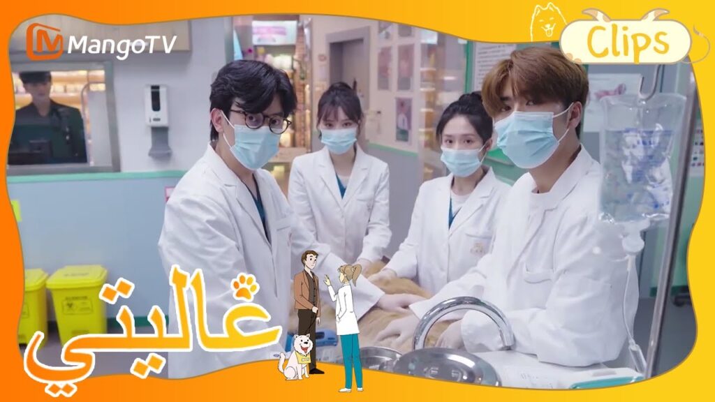 بث مباشر لعملية العلاج في مستشفى تيانلين | My Precious | MangoTV Arabic