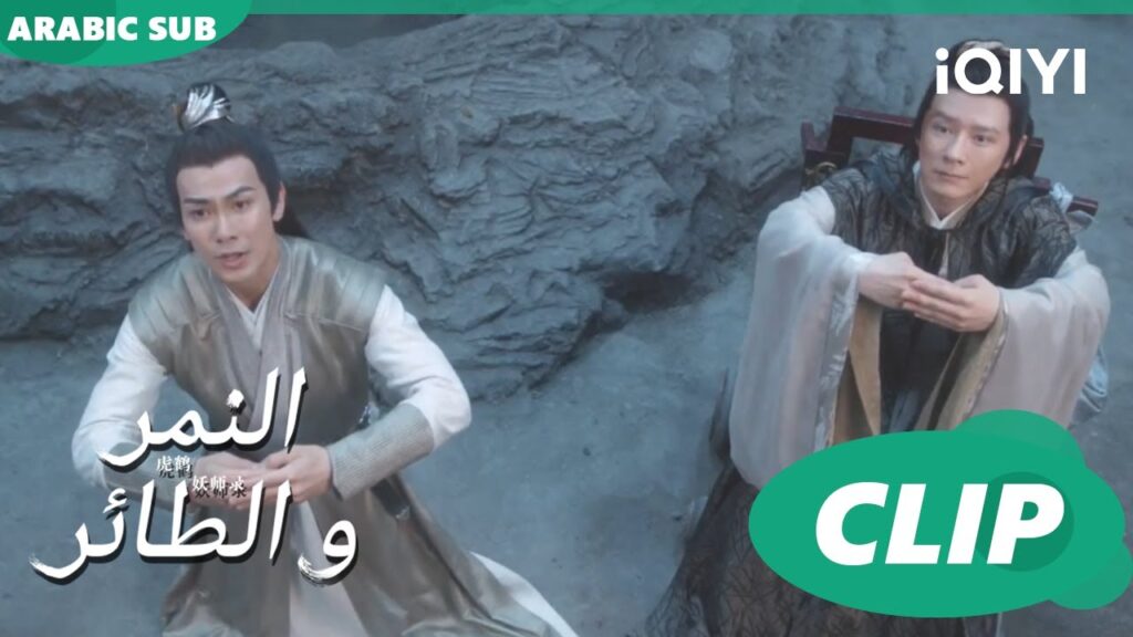 اخترت إنقاذك | النمر و الطائر Tiger and Crane | الحلقة 36 | iQIYI Arabic