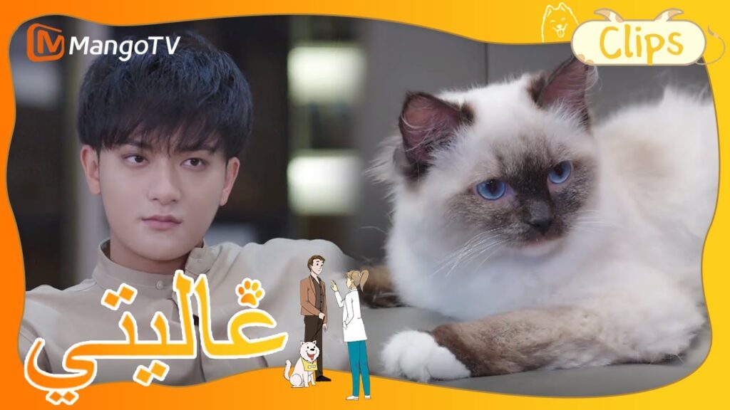 يحكي الطفل الصغير الحقيقة عن الهروب من المنزل | My Precious | MangoTV Arabic