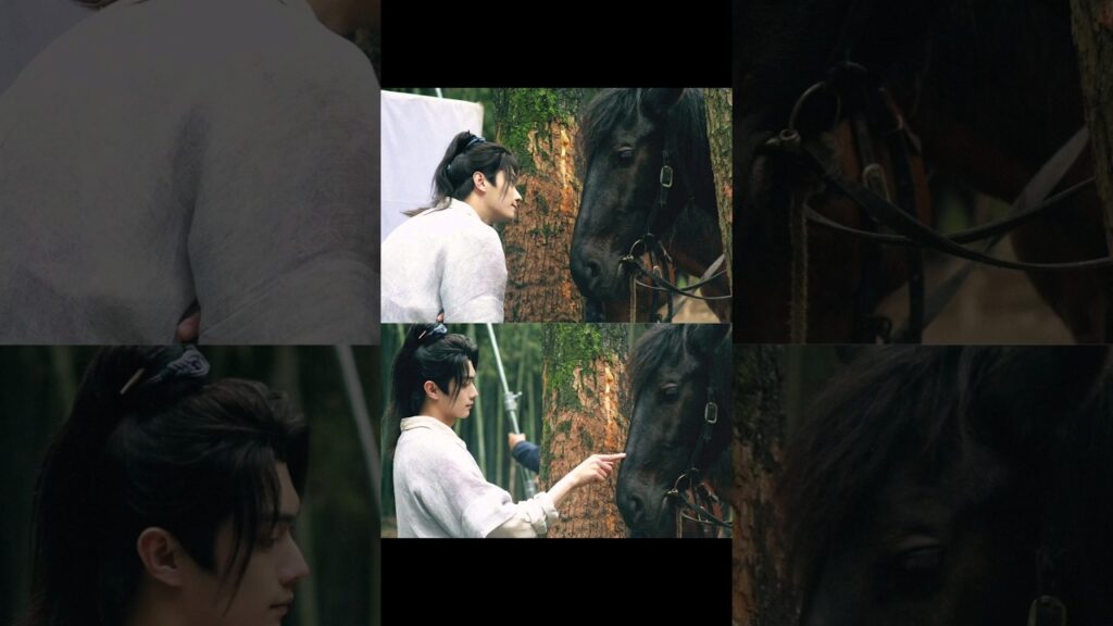 لطافة شو كاي مع حصانه 😍 #xukai #许凯 #景甜 #jingtian #wonderlandoflove #乐游原 #shorts #new #love #romance