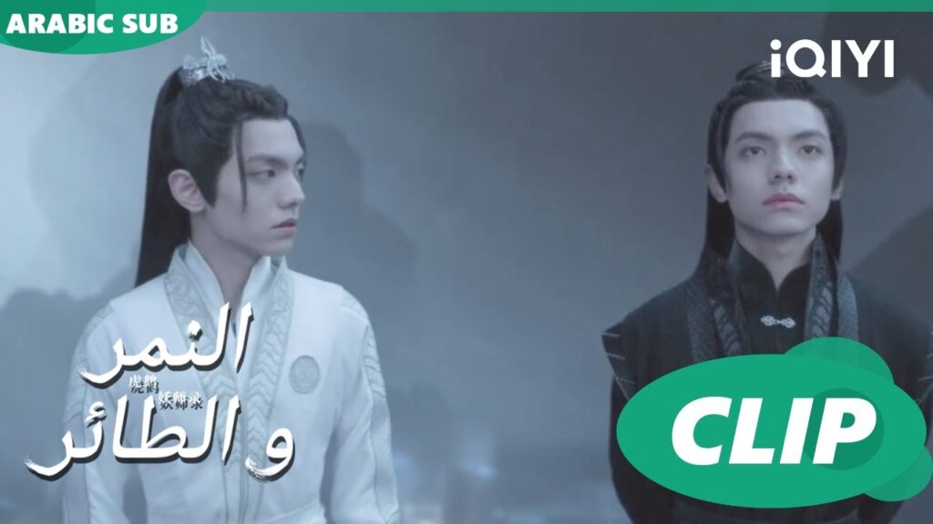 اعتذر | النمر و الطائر Tiger and Crane | الحلقة 33 | iQIYI Arabic اعتذر | النمر و الطائر Tiger and Crane | الحلقة 33 | iQIYI Arabic