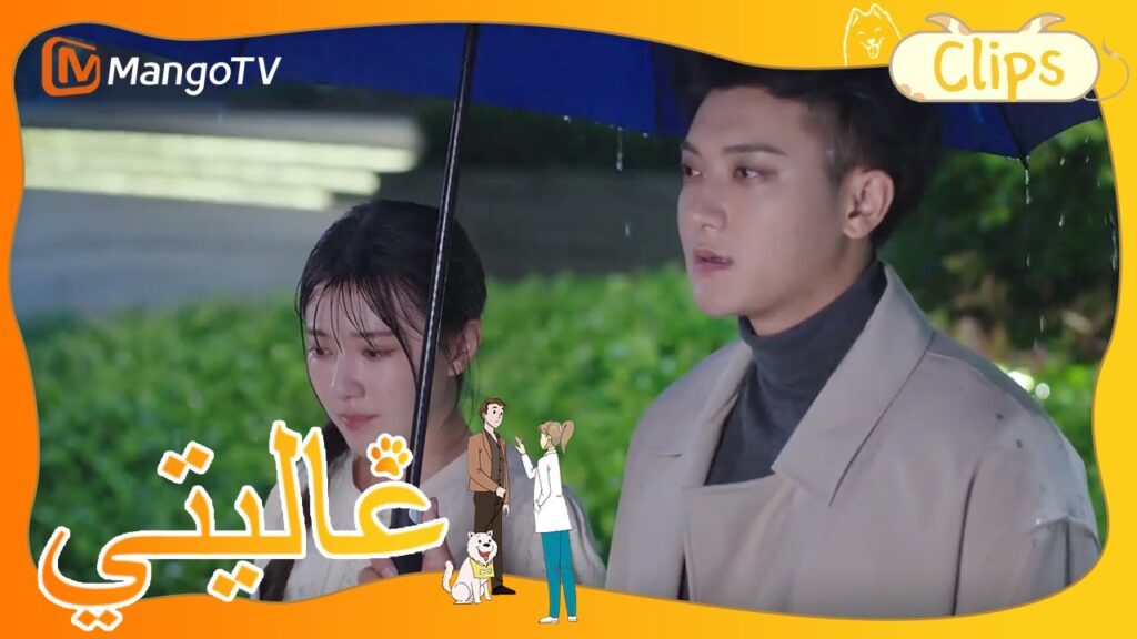 شين مي تحمل تيان تيان إلى المنزل تحت المطر الغزير | My Precious | MangoTV Arabic شين مي تحمل تيان تيان إلى المنزل تحت المطر الغزير | My Precious | MangoTV Arabic