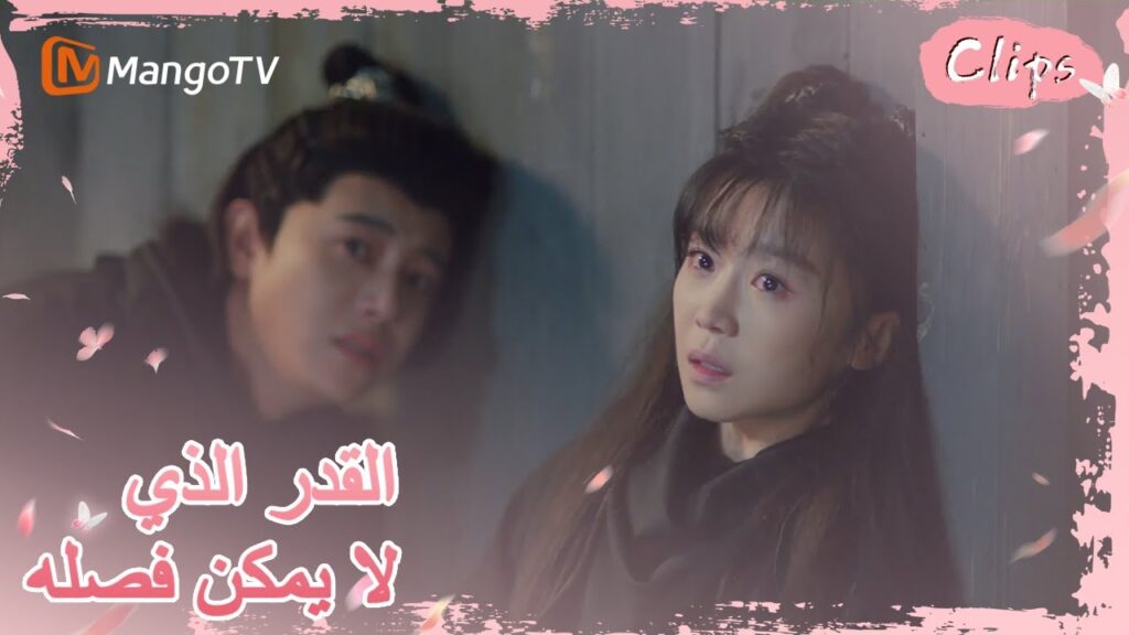 طارد قاتل جيولينج وأصيبت بجروح خطيرة | MangoTV Arabic |