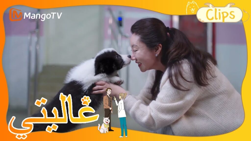 الجميع يعمل معًا لإيجاد حل | My Precious | MangoTV Arabic