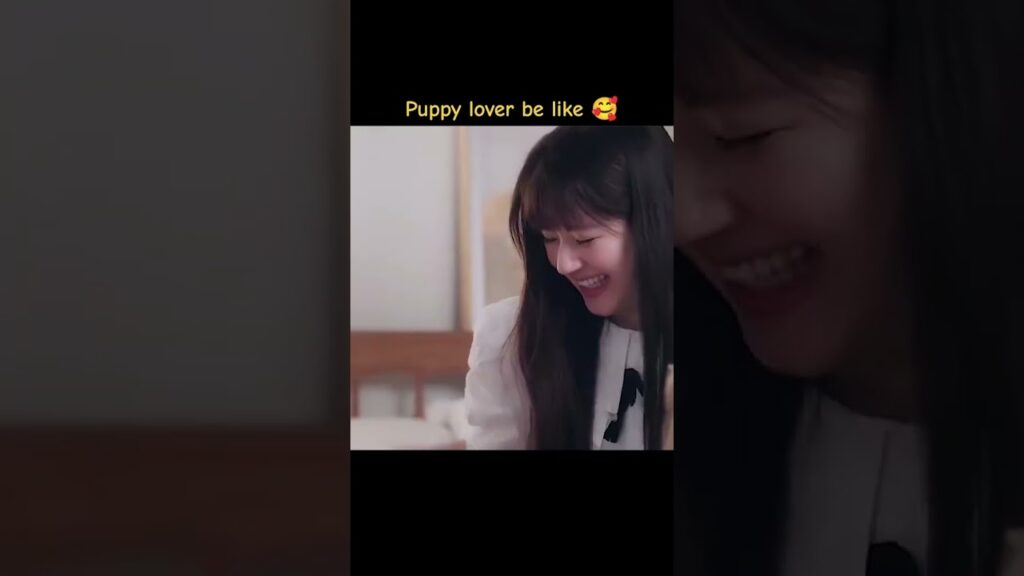 محب الجراء يكون مثل: 🤣🤣🤣 #HiddenLove #حب_خفي #zhaolusi #chenzheyuan #youku