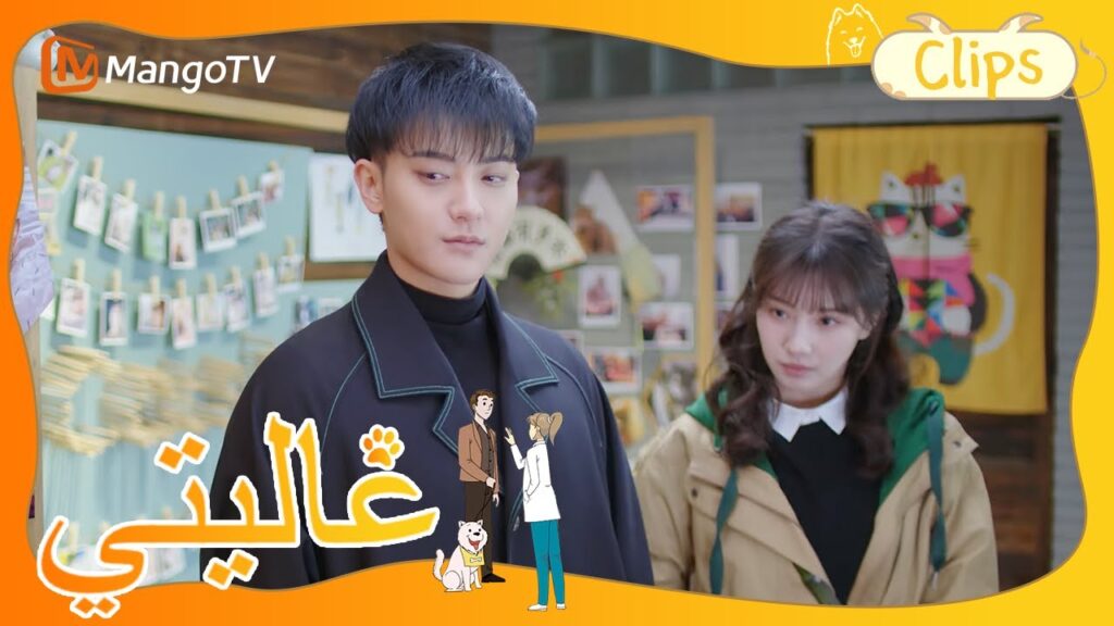 سيء جدا! صاحب مقهى القطط يسيء معاملة القطط | My Precious | MangoTV Arabic سيء جدا! صاحب مقهى القطط يسيء معاملة القطط | My Precious | MangoTV Arabic