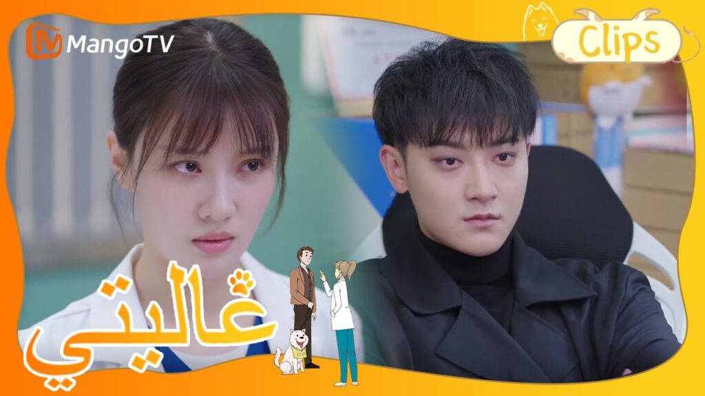 كيف نتعامل مع الحيوانات الضالة؟ البطل والبطلة لديهما آراء مختلفة | My Precious | MangoTV Arabic