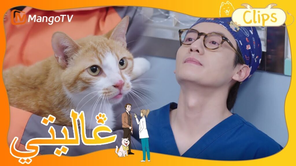 نجح طبيب بيطري في مساعدة قطة ضالة على ولادة قطط صغيرة | My Precious | MangoTV Arabic