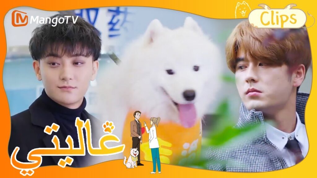 جاء شخص آخر ليتقدم لوظيفة، وكان رجلاً ثريًا ووسيمًا | My Precious | MangoTV Arabic