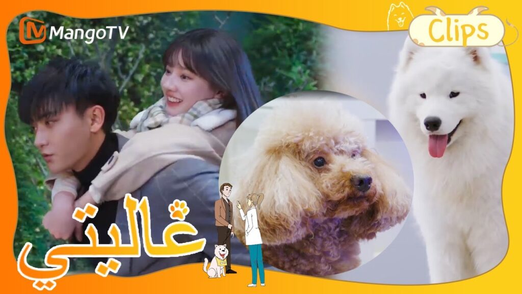 لعب الرجل الهاتف عند العمل التي تسببت إلى هروب الجرو. | My Precious | MangoTV Arabic لعب الرجل الهاتف عند العمل التي تسببت إلى هروب الجرو. | My Precious | MangoTV Arabic