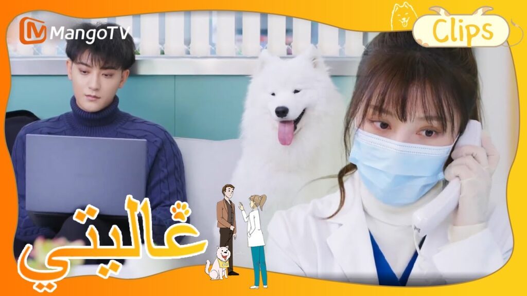 طبيب الحيوان مشغول ليس مع غرفة الطوارئ فقط،ولكن للخروج إلى العيادة أيضا|My Precious| MangoTV  Arabic