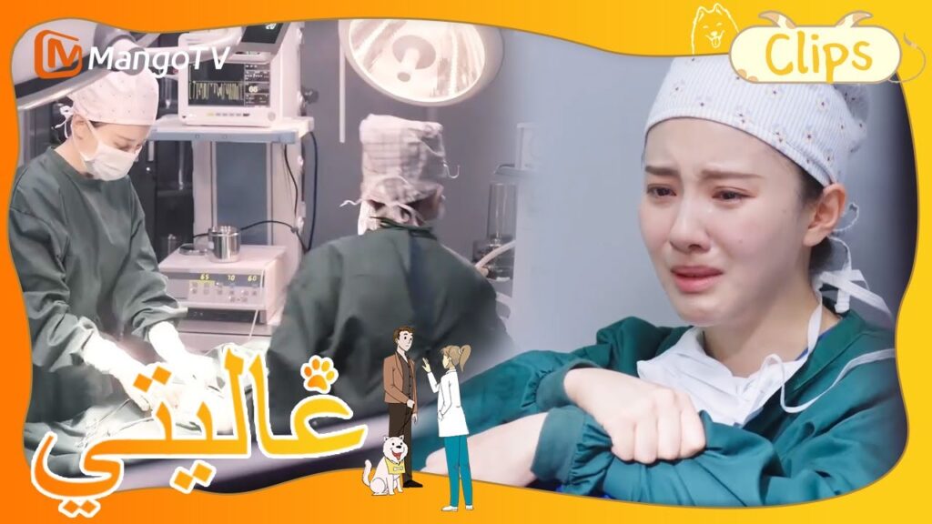 تكشف البطلة حقيقة خوفها； ويتوصل البطل والبطلة أخيرًا إلى التعاون. | My Precious | MangoTV Arabic