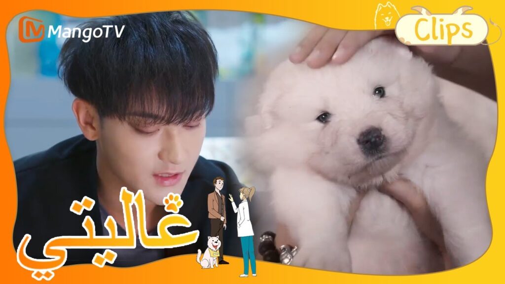 يتذكر هوانغ زيتاو ذكريات طفولته；وقع البطل والبطلة على اتفاقية تعاون.| My Precious | MangoTV Arabic