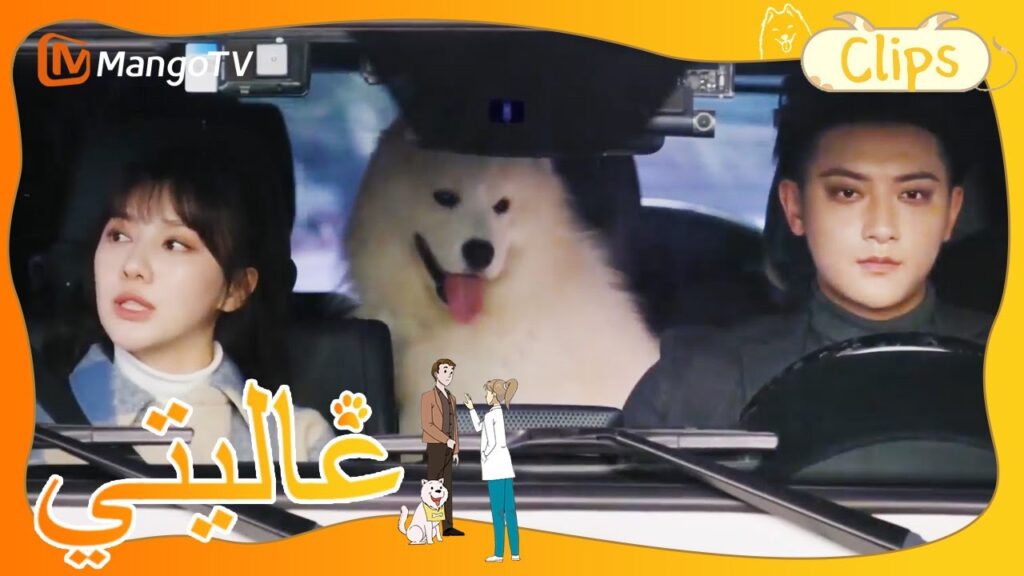 Wang Herun على غرار الكتاب المدرسيتتصرف بطريقة مدللة | My Precious | MangoTV Arabic