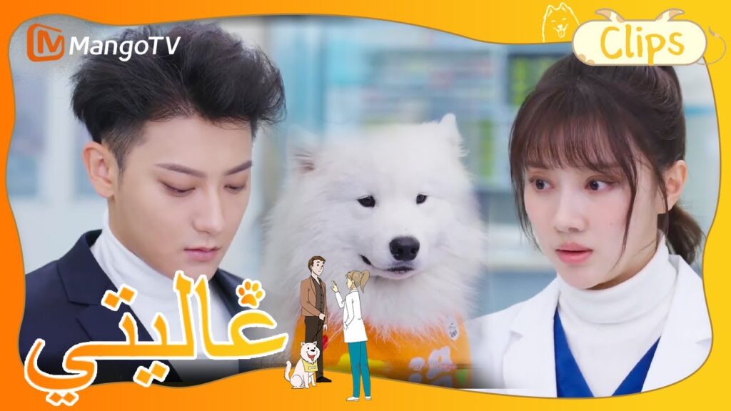 جده طلب من شن مي أن يدير مستشفى حيوانات مشهورًا، وهكذا بدأت القصة | My Precious | MangoTV Arabic