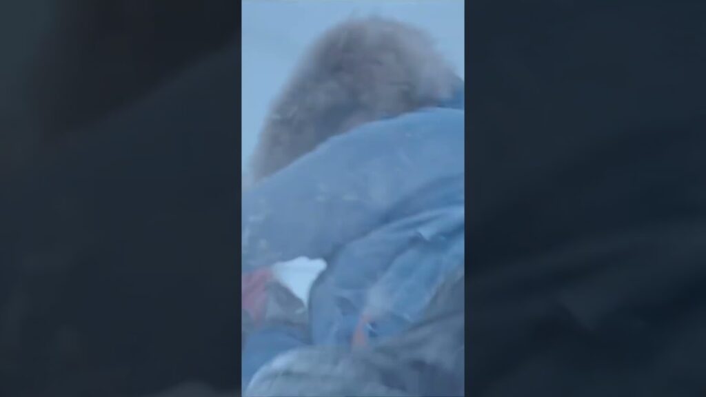 الجمال سقط في حفرة الجليد، أي نوع من الوحش تحت الماء؟ ! #ThePolarOdyssey #الرحلة_القطبية #youku