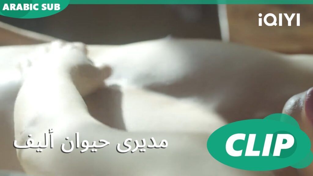 مديرى حيوان أليف My Piggy Boss | الحلقة 1 | iQIYI Arabic