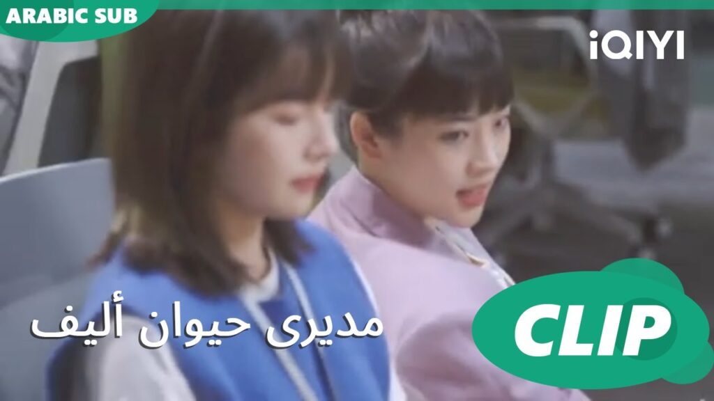اريد الوصول | مديرى حيوان أليف My Piggy Boss | الحلقة 2 | iQIYI Arabic