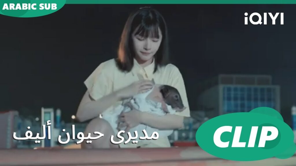 مدبرينه سوا | مديرى حيوان أليف  My Piggy Boss ا الحلقة 6 ا iQIYI Arabic