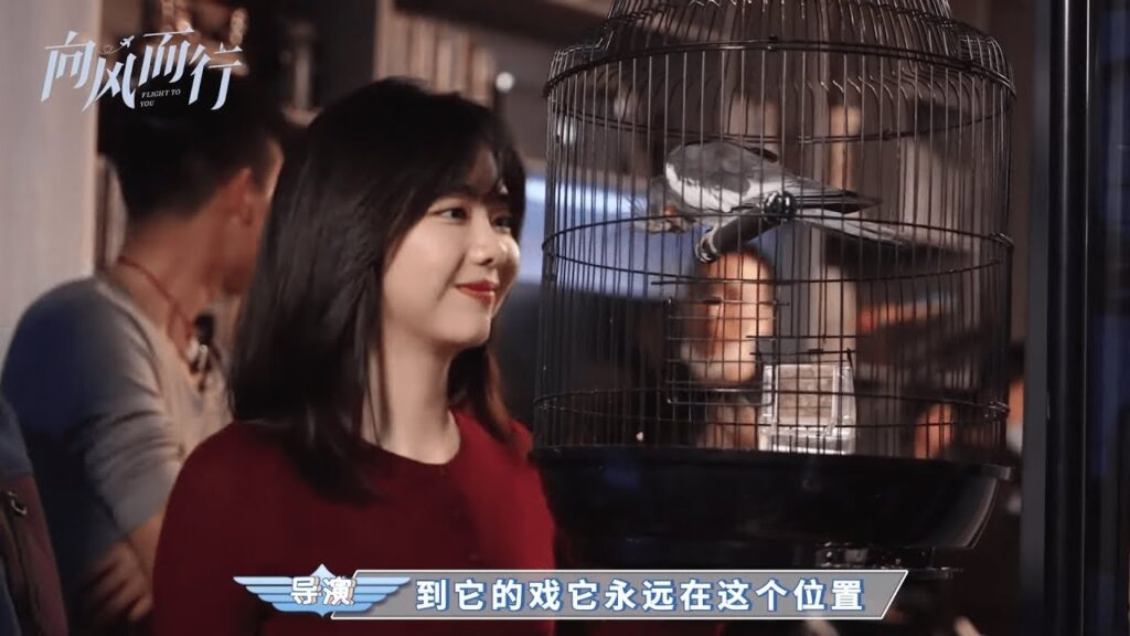 [كواليس] المسلسل الصيني الرومانسي "رحلتي إليك" |"Flight to You" ✈️ نوع:[علاقة بين مدرب ومتدربة]