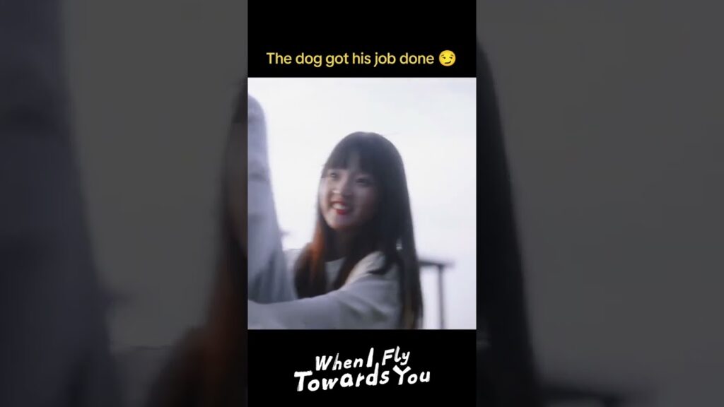 "عندما أطير نحوك"｜When I Fly Towards You｜لقد أنجز الكلب وظيفته!😏🤣إنهم لطيفون جدا!｜YOUKU
