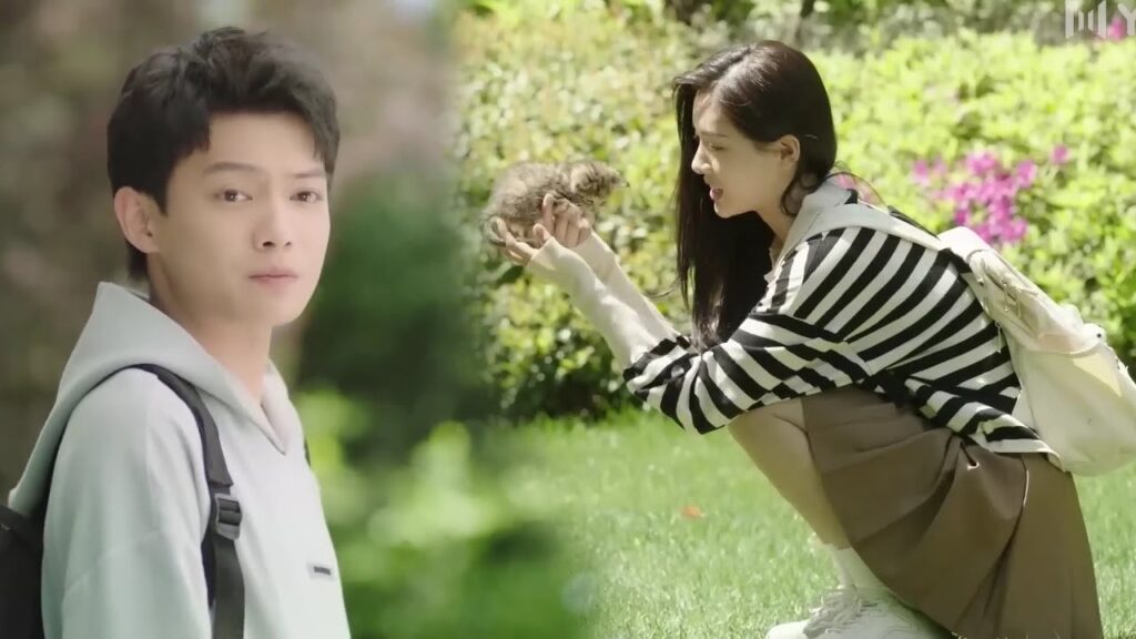 حـب من اول قطـــة 😂❤️