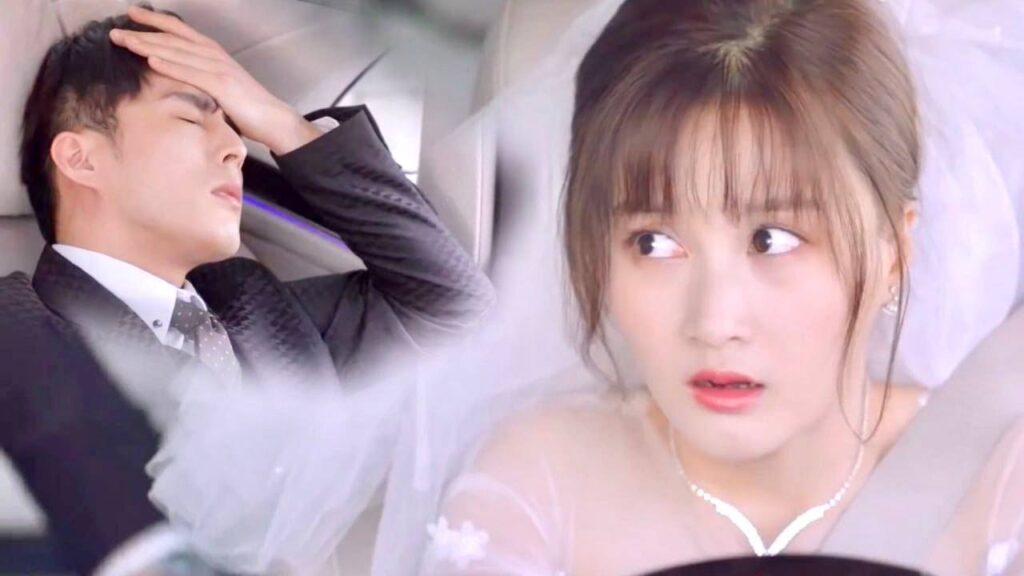 لا تعرف عريسها فتهرب من الزفاف , و تسرق سيارته لكنه يجلس بالخلف