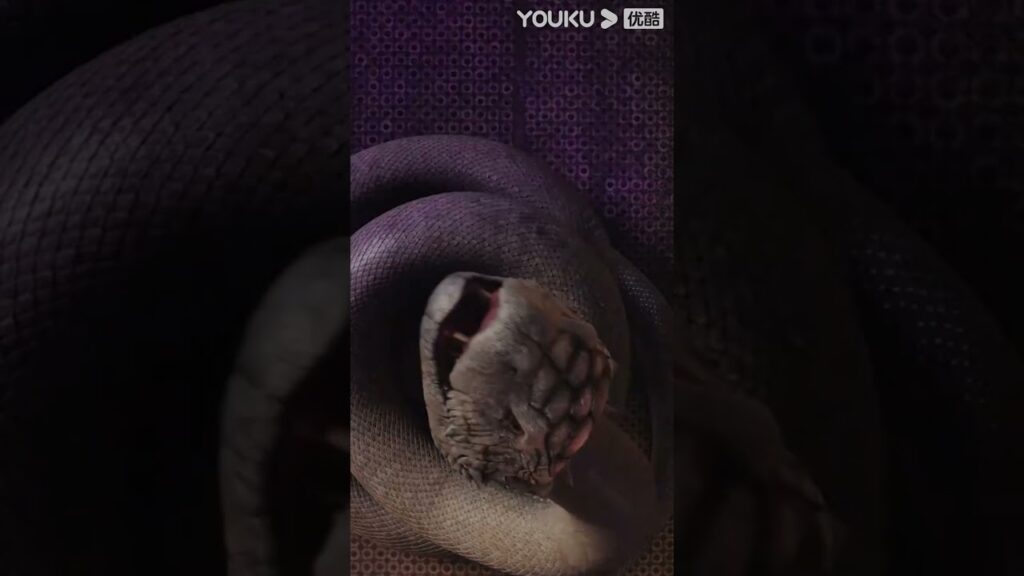 "فتاة الأفعى"｜الأفعى العملاقة ابتلعت السيارة والتفت نحو الطفلة!｜Snake Girl｜YOUKU