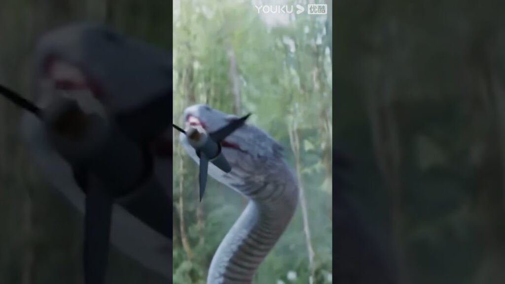 "فتاة الأفعى"｜ظهر ثعبان كبير في الغابة! سحق الناس في صلصة اللحم بذيل واحد!｜Snake Girl｜YOUKU