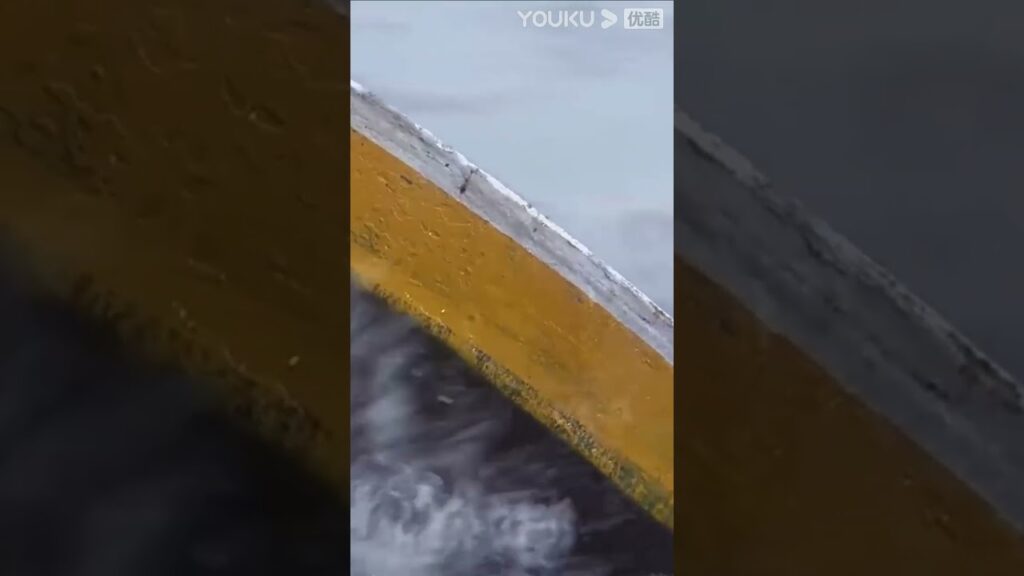 "القرش الضخم" ｜Huge Shark｜اصطدم القرش الضخم بالقارب، وصرخ الجمال في ذعر!｜YOUKU