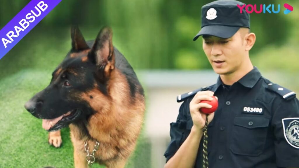 أراد الرجل أن يكون شرطيًا جنائيًا ولكن تم تعيينه في لواء كلاب الشرطة. انظر كيف يحقق التحول!｜YOUKU