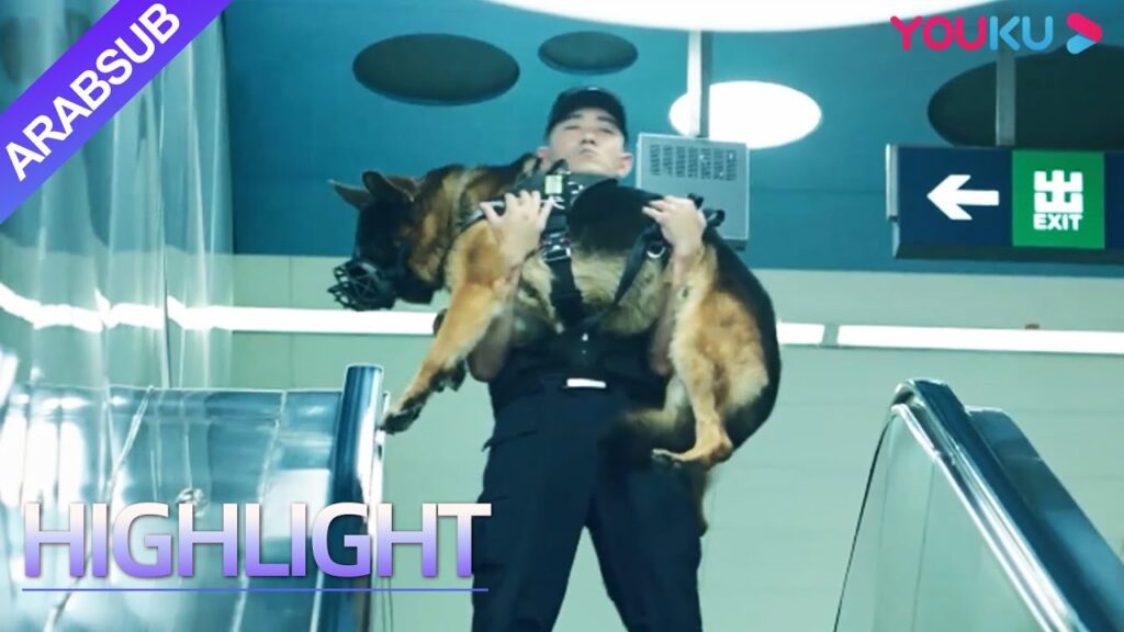 The Seven Dog's PDU｜مرح! كلب البوليس عمدا لم يستمع لأمر الصبي!｜YOUKU