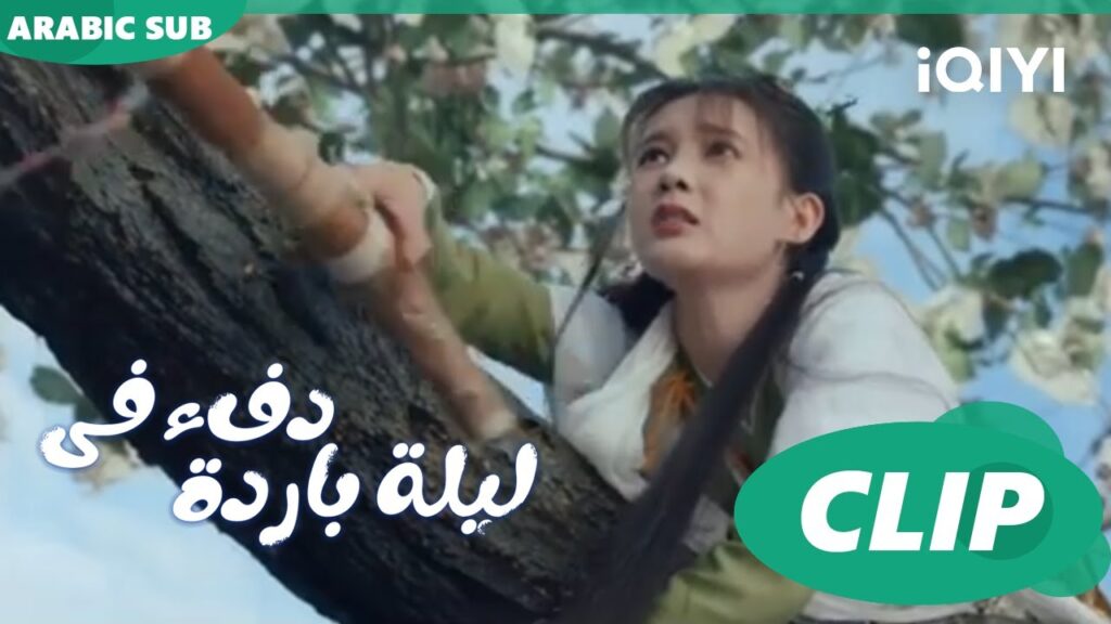"هان تشينج" يعاقب "جيو إر" ا دفء في ليلة باردة  Warm on a Cold Night ا الحلقة 12 ا iQIYI Arabic