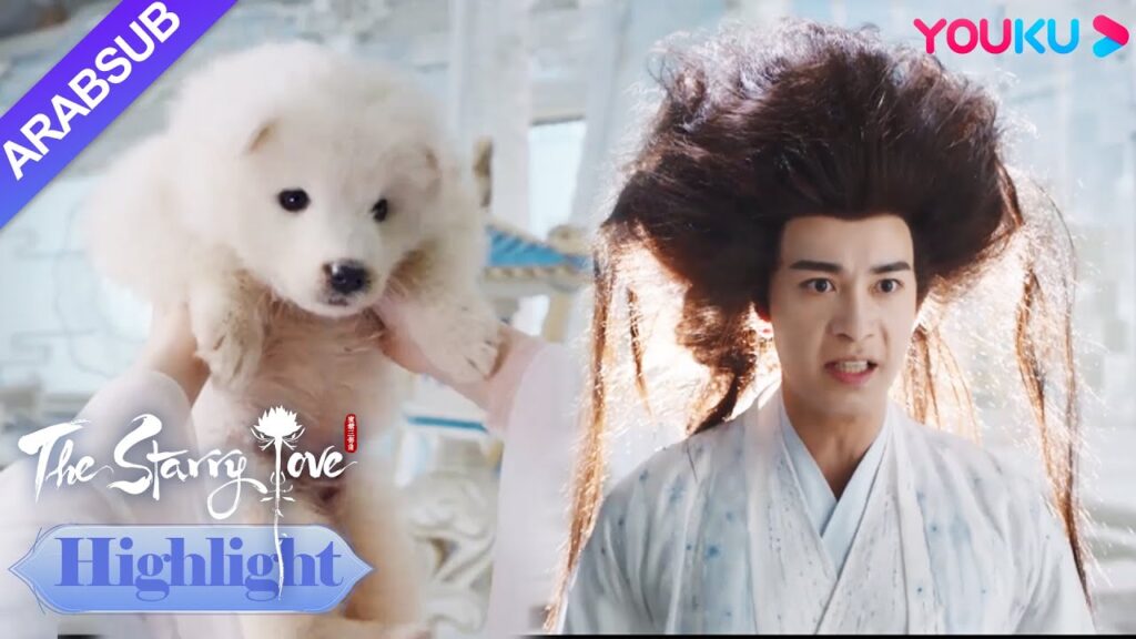 The Starry Love｜شوانشانغ تحولت إلى أفرو من قبل يه تان؟ تحول أمير قبيلة الوحش إلى جرو؟｜YOUKU