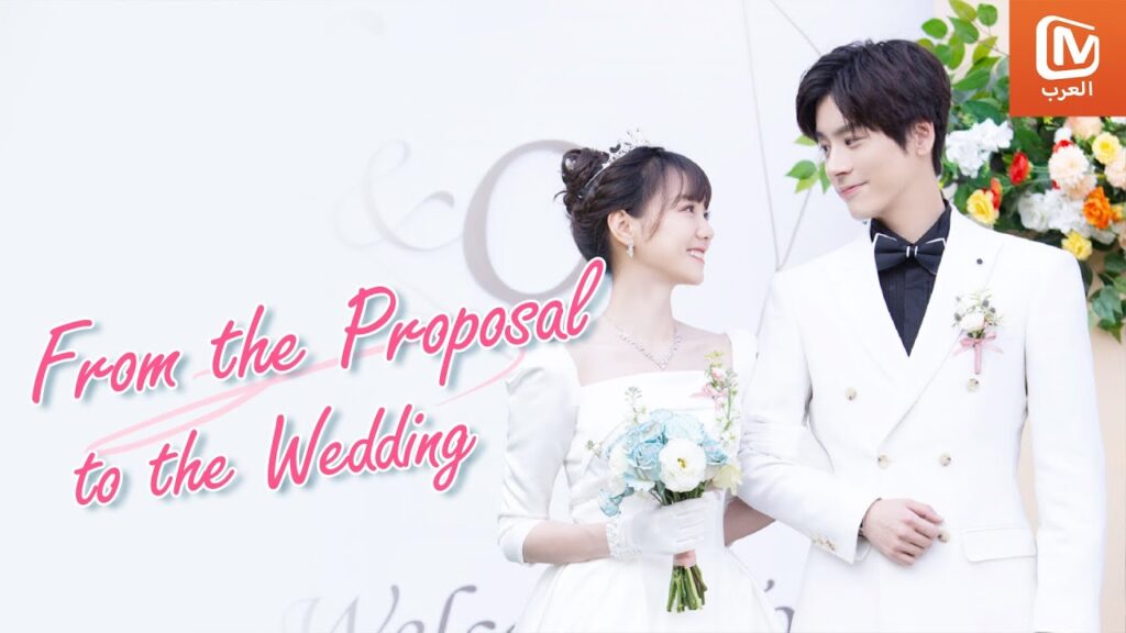 💗💗💗أجمل عروض الزواج الرومانسية  | MangoTV  Arabic