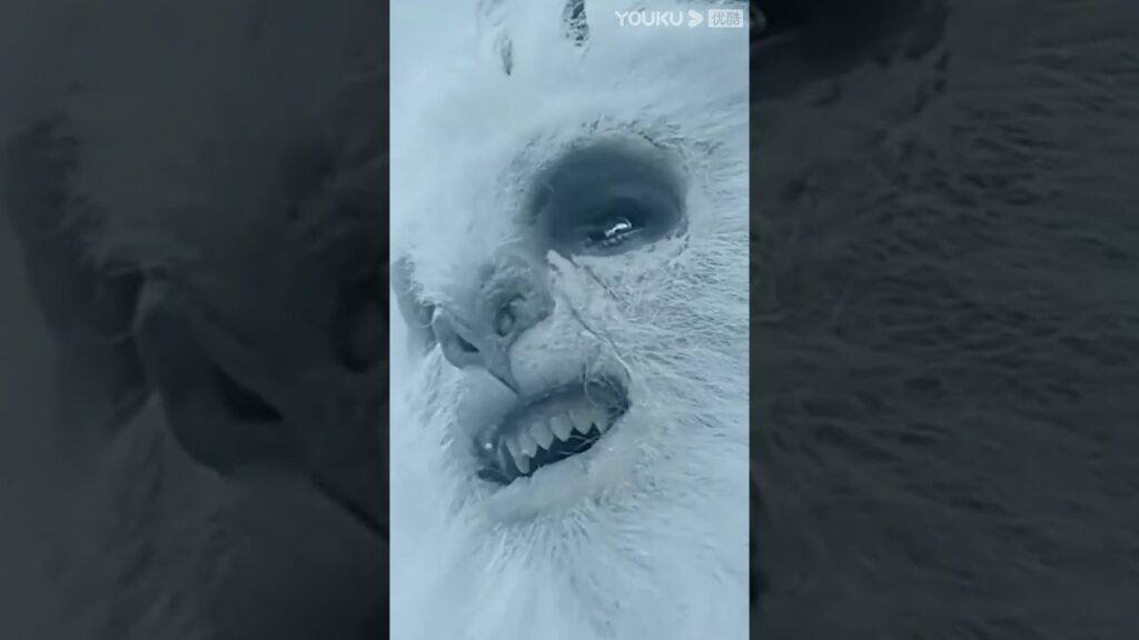 "وحش الثلج"｜Snow Monster｜تم هزيمة قرش الأرض بسهولة من قبل وحش الثلج!｜YOUKU