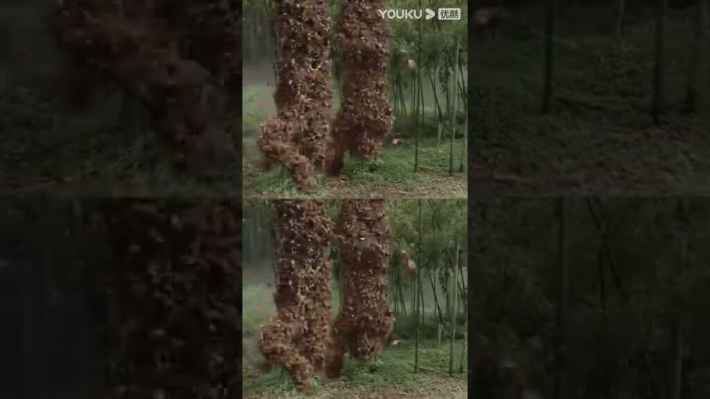 "النحل المتعطش للدماء"｜حشود قمم آكلي لحوم البشر تعض البشر إلى أشلاء!｜YOUKU