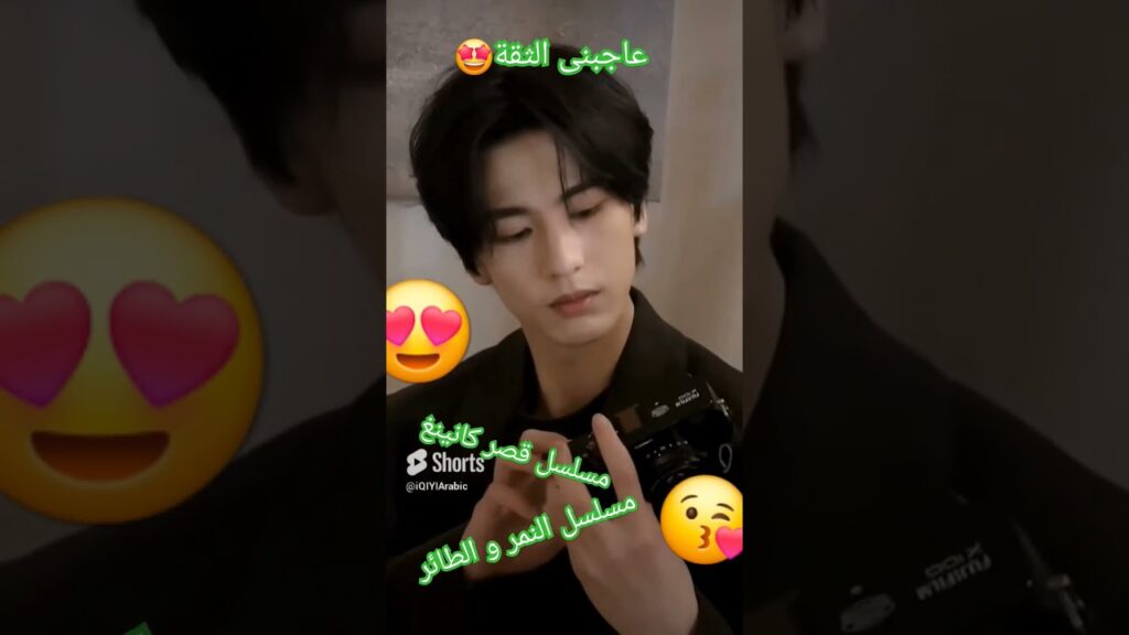 #tigerandcrane ##kunningpalace #النمر_و_الطائر #myjourneytoyou #رحلتى_لك #zhanglinghe #viral