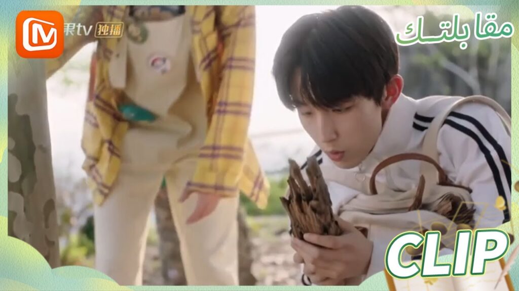 الحطب الصغير | مقابلتك   MangoTV Arabic | Meeting You