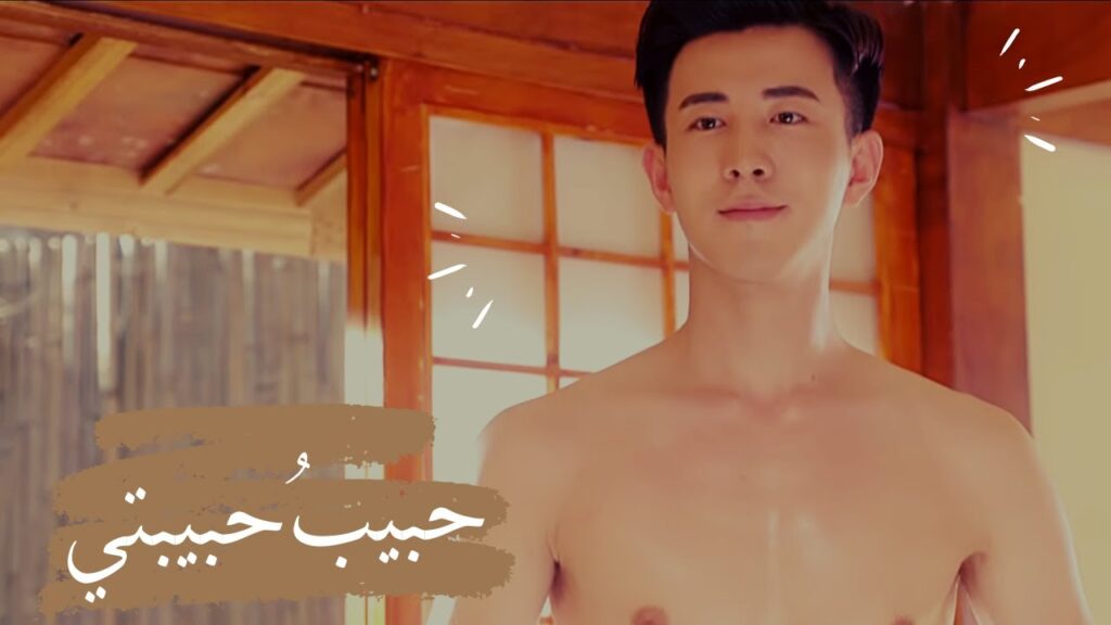 عندما تشتري عن طريق الخطأ صديق آلي عوض صديقة آلية! مقطع مضحك من المسلسل الكوميدي "حبيبُ حبيبتي"