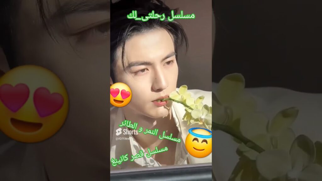 #myjourneytoyou #storyofkunningpalace #tigerandcrane #chinesedrama #سيدراما #شورتس#