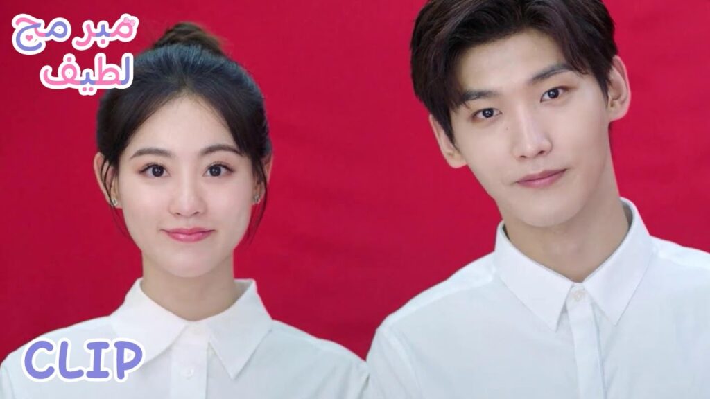 لو لي ويي تشنغ يتزوجان، حياة جديدة على وشك البدء | ملخص الحلقة 8 "مبرمج لطيف" | WeTV