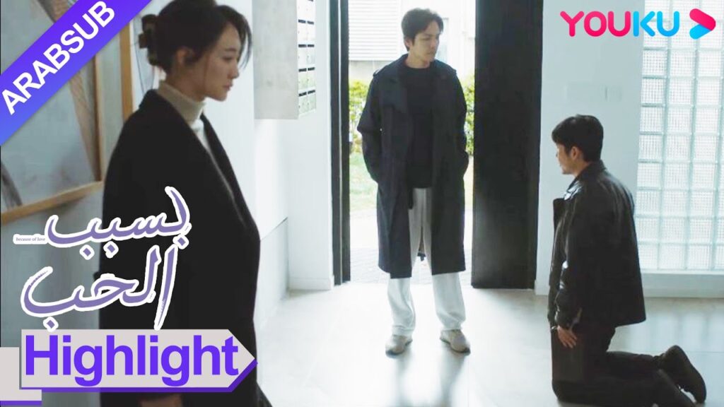 "بسبب الحب"｜ركع سون تشي جون واعتذر لني يوي شينغ!｜YOUKU