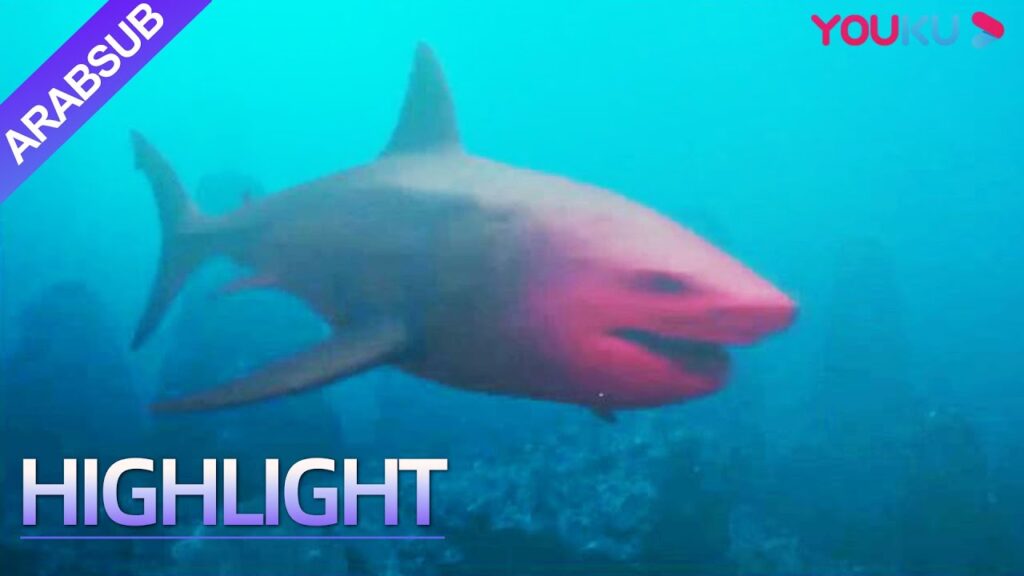 "القرش المرعب"｜القرش المرعب لديه ذكاء بشري؟ إنه أمر شرس للغاية أن تأكل شخصا في قضمة واحدة!｜YOUKU