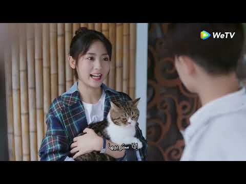 شياو نينغ تحضر قطة مقطع من الحلقة 15 مسلسل السيدة الغرابة والسيد السحلية ｜WeTV